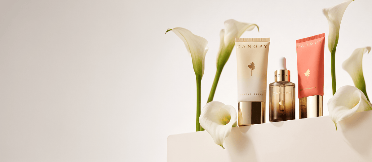 The 'CANOPY Afterglow' Box