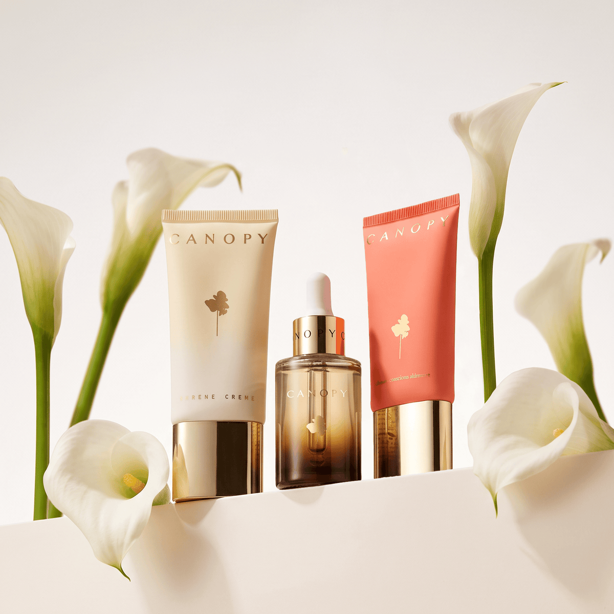 The ‘CANOPY Afterglow’ Box